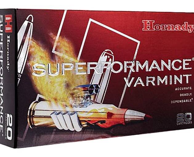 Hornady Superformance Varmint 243 Winchester Super Short Magnum (WSSM) Ammo 75 Grain V-Max Polymer Tip