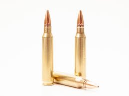 223 ammo for sale