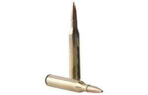 25-06 ammo