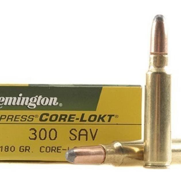 Remington .300 Savage 180 gr SP Core-Lokt