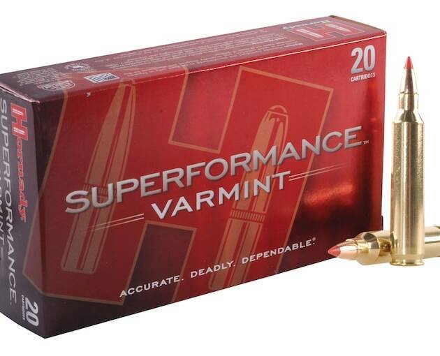 Hornady Superformance Varmint 204 Ruger Ammo 32 Grain Hornady V-Max Polymer Tip