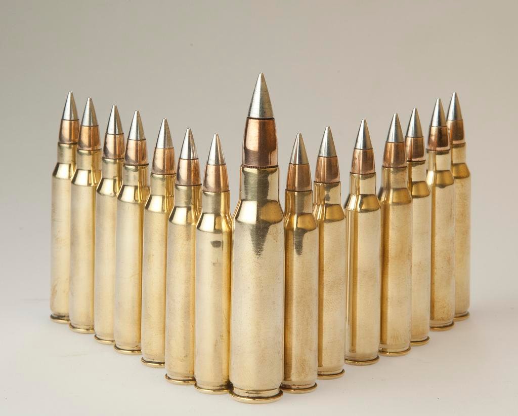 M80A1 ammo